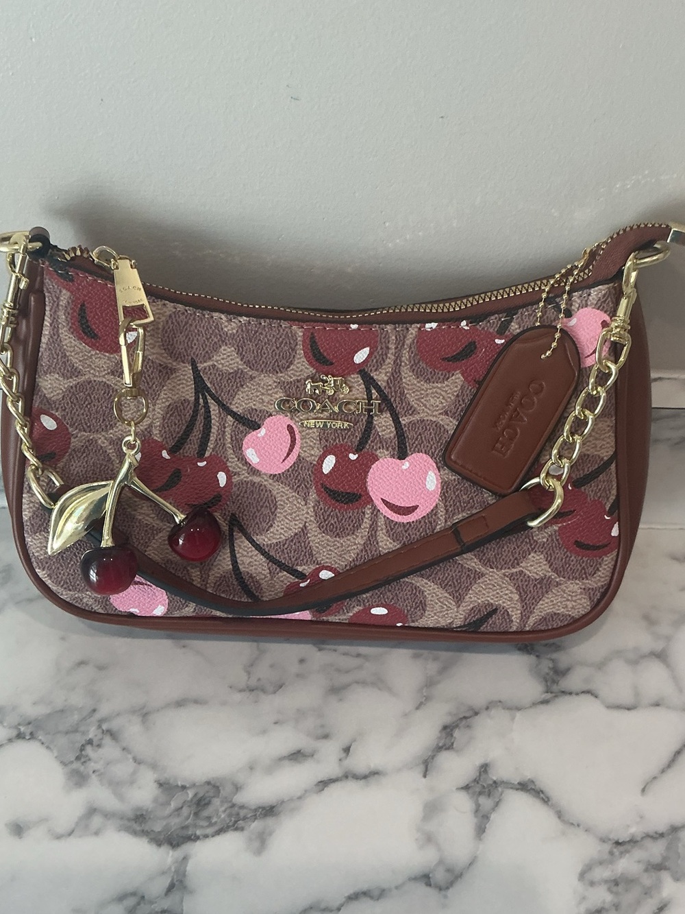 Coach Teri Cherry-Print Shoulder Bag in Brown, Pink, Red